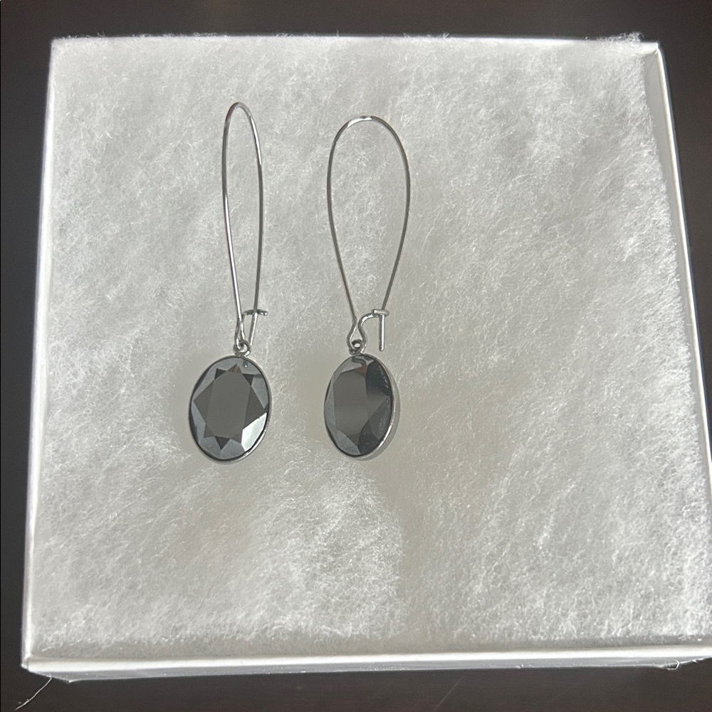 Chic Silver Oval Earrings